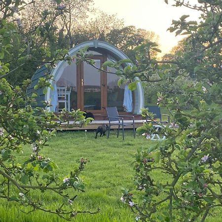 ホテル Orchard Luxe Glamping Pod ダンガノン エクステリア 写真