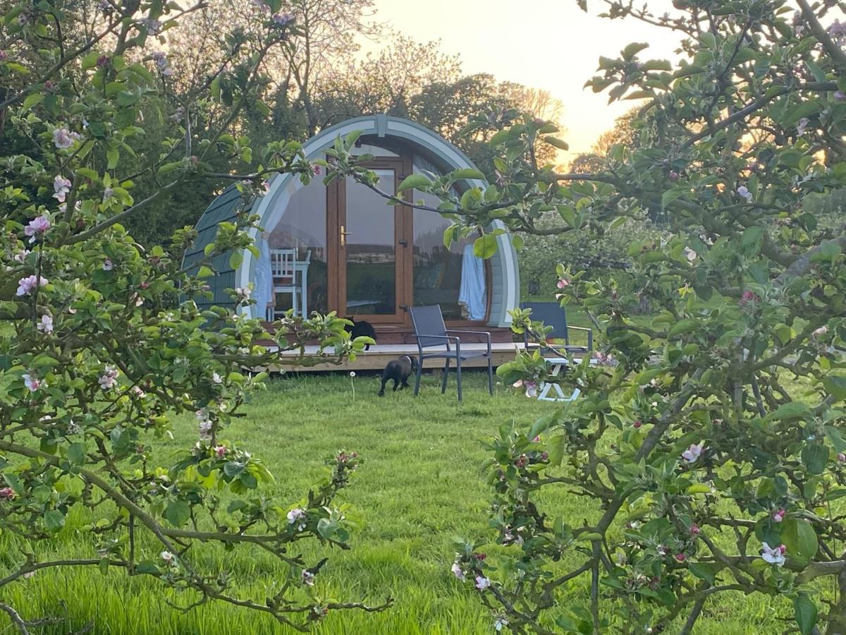 ホテル Orchard Luxe Glamping Pod ダンガノン エクステリア 写真