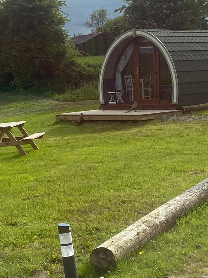 ホテル Orchard Luxe Glamping Pod ダンガノン エクステリア 写真